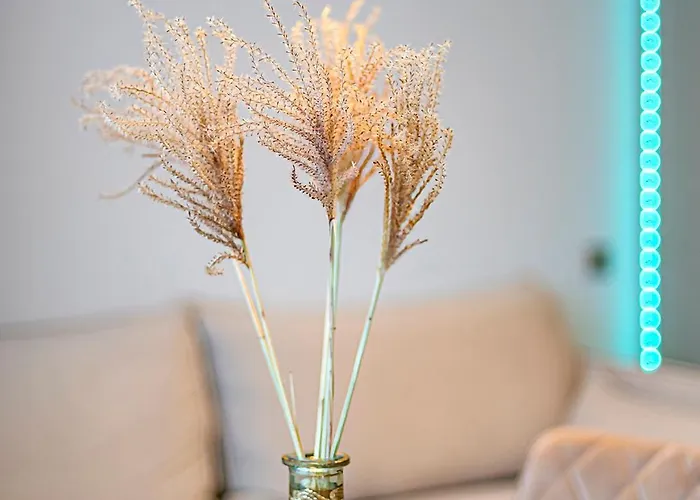 Appartement Fancy Pramones #1 By Polo *